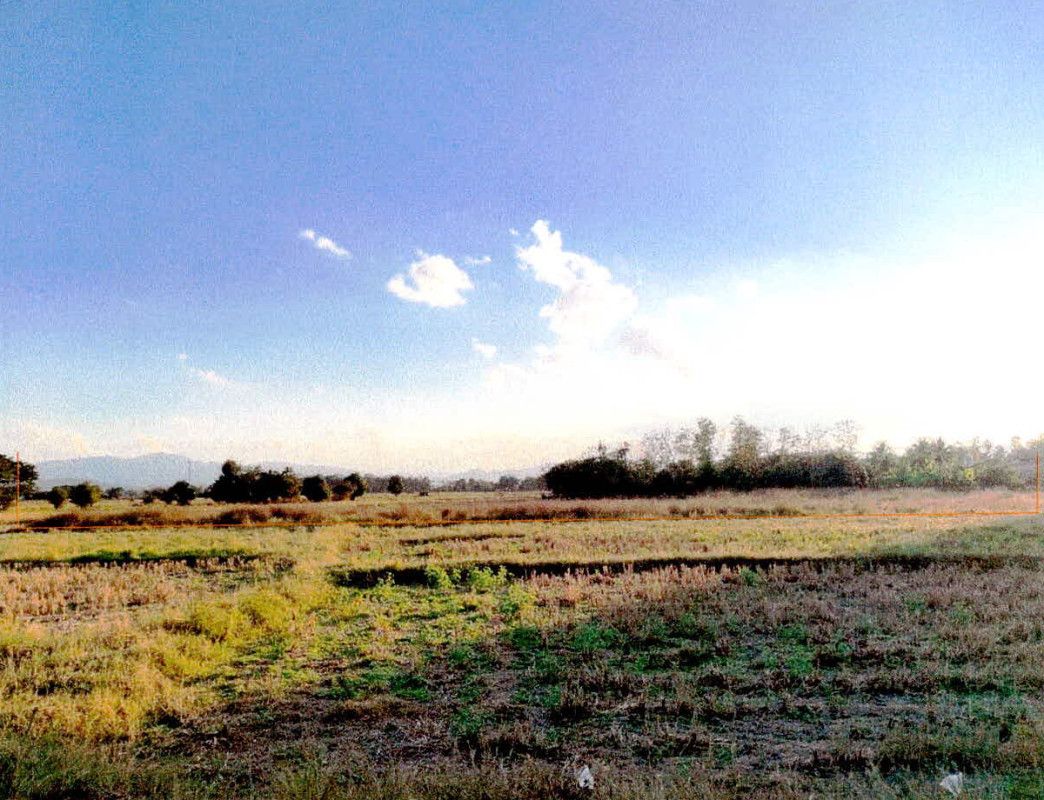 Residential land/lot Lampang Mae Tha Na Khrua 150860