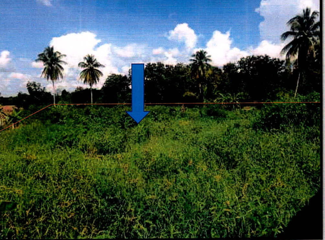 Residential land/lot Lampang Thoen Mae Mok 195130