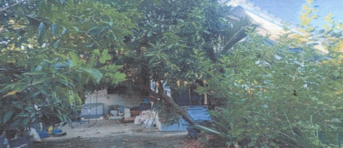 บ้านเดี่ยว พระนครศรีอยุธยา ภาชี โคกม่วง 1342930