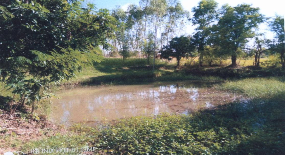 ที่ดินเปล่า อุบลราชธานี เขมราฐ แก้งเหนือ 15470