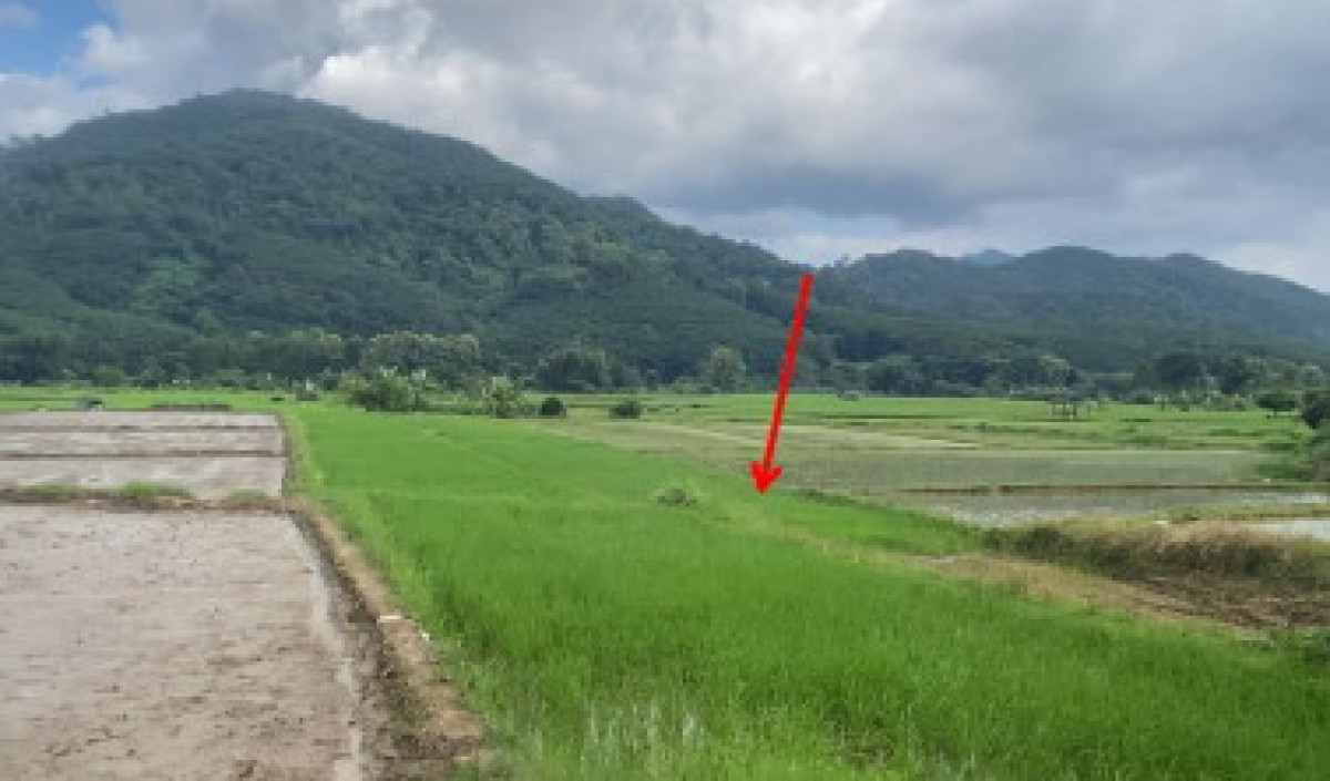 Residential land/lot Chiang Rai Thoeng Tap Tao 98190