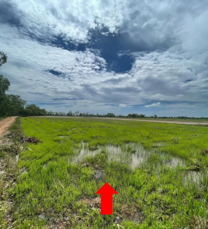 ที่ดินเปล่า กาฬสินธุ์ กมลาไสย ธัญญา 392000