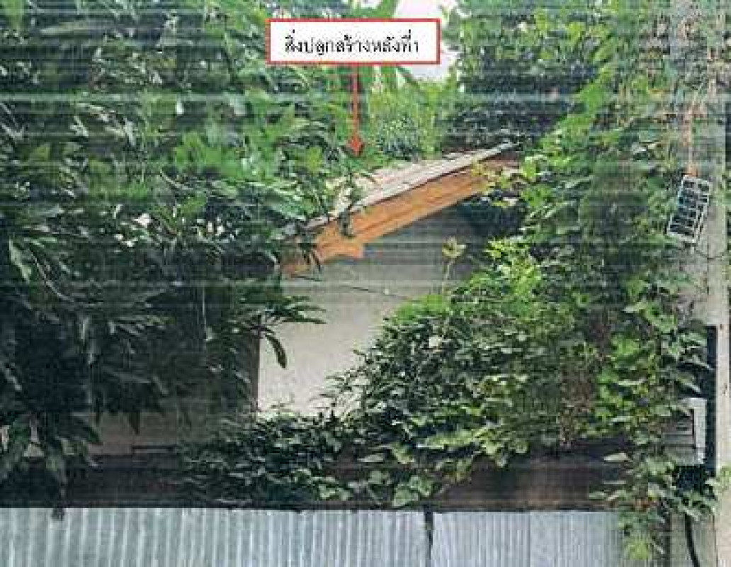 บ้านเดี่ยว ลำปาง เมืองลำปาง ปงแสนทอง 438400