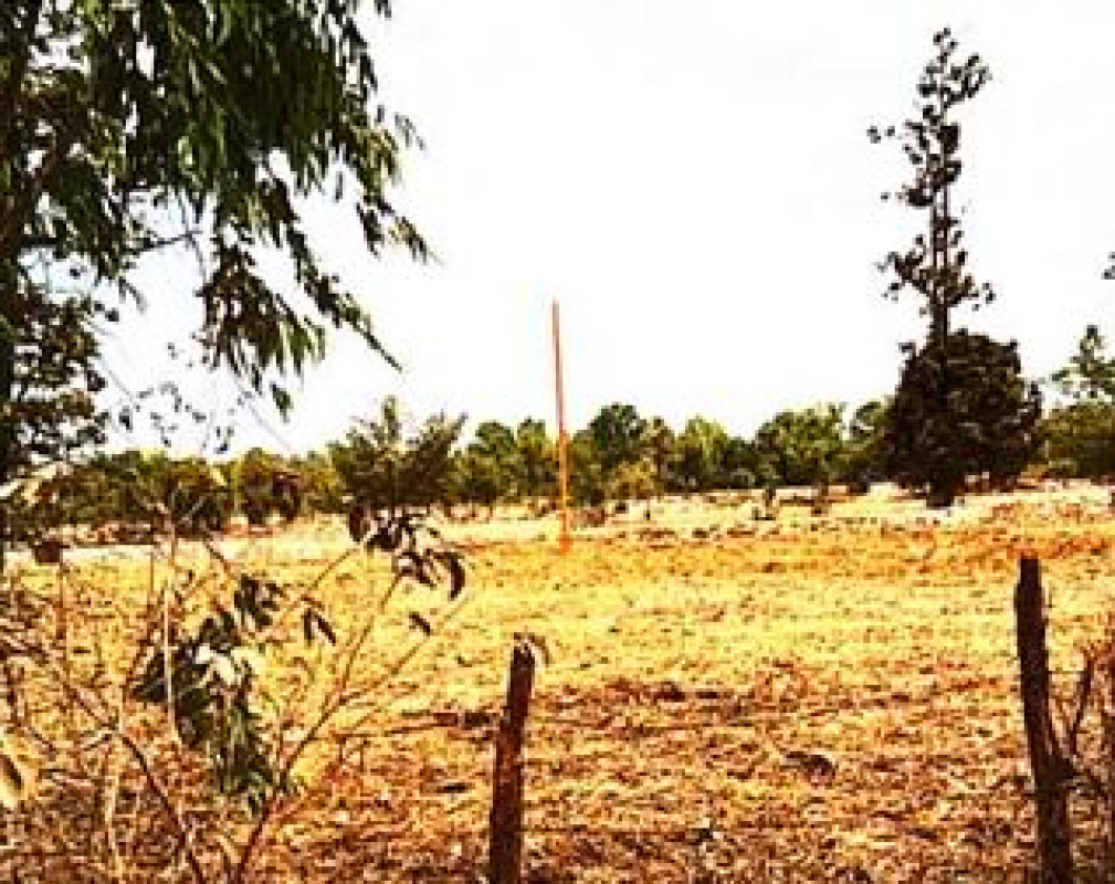 ที่ดินเปล่า อุบลราชธานี ศรีเมืองใหม่ นาคำ 650400