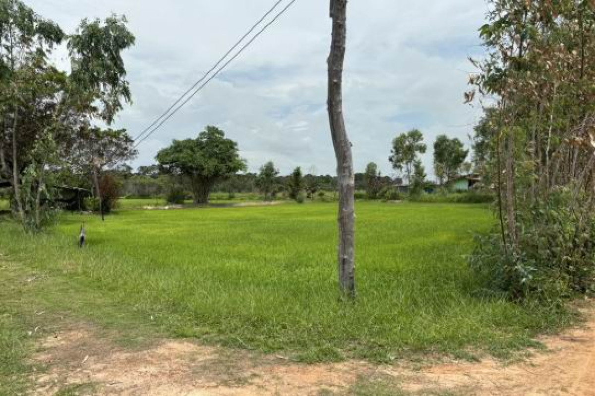 ที่ดินเปล่า อุบลราชธานี เขื่องใน ยางขี้นก 533250