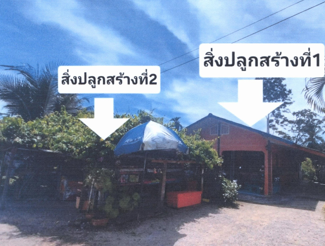 บ้านเดี่ยว สงขลา นาทวี ฉาง 674572