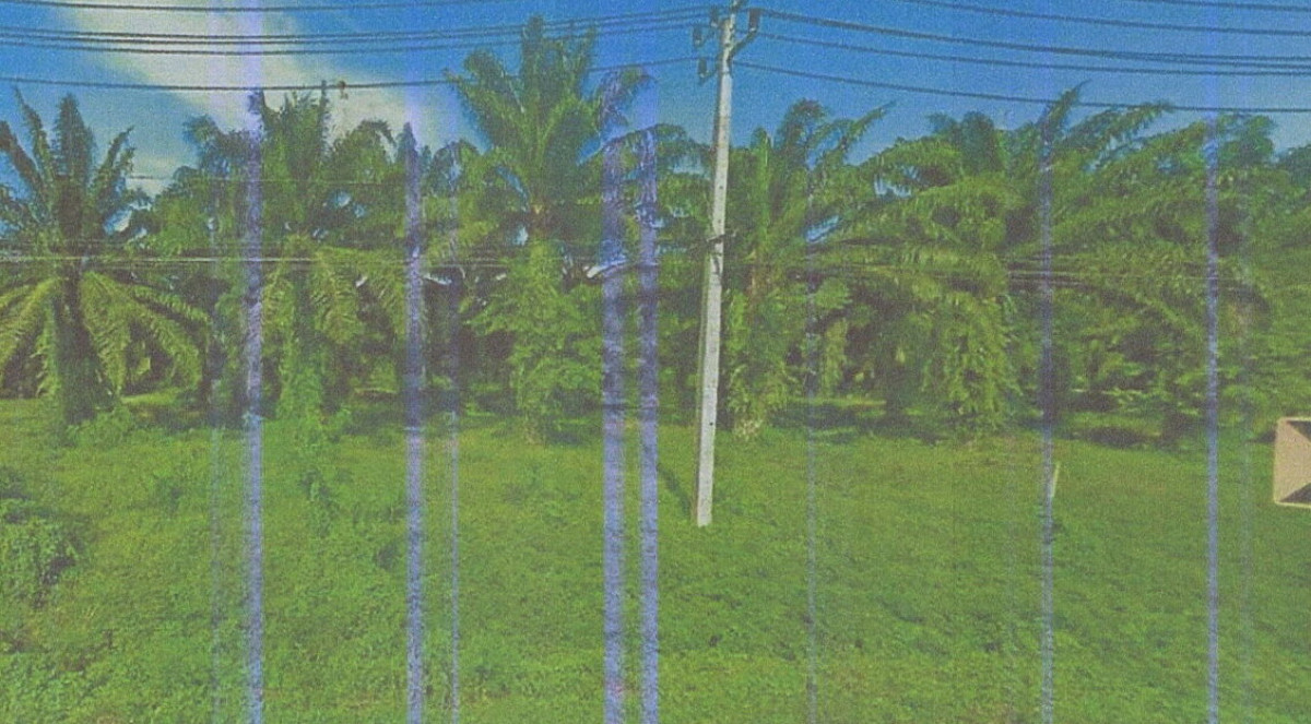 ที่ดินเปล่า กระบี่ เขาพนม เขาพนม 9819310