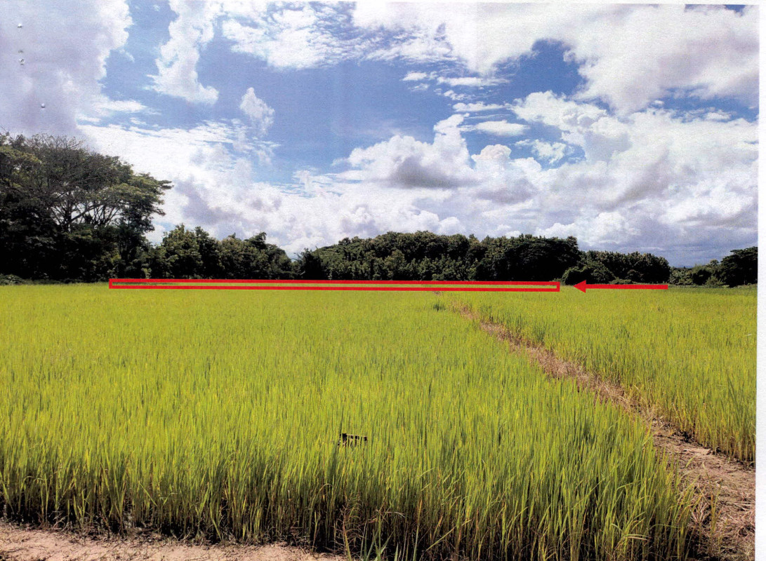 ที่ดินเปล่า ลำปาง งาว บ้านแหง 197700