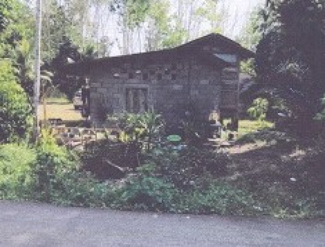 บ้านเดี่ยว ตรัง ย่านตาขาว เกาะเปียะ 160275