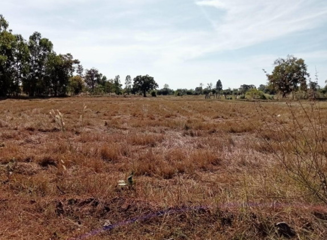 ที่ดินเปล่า อุบลราชธานี กุดข้าวปุ้น หนองทันน้ำ 360000