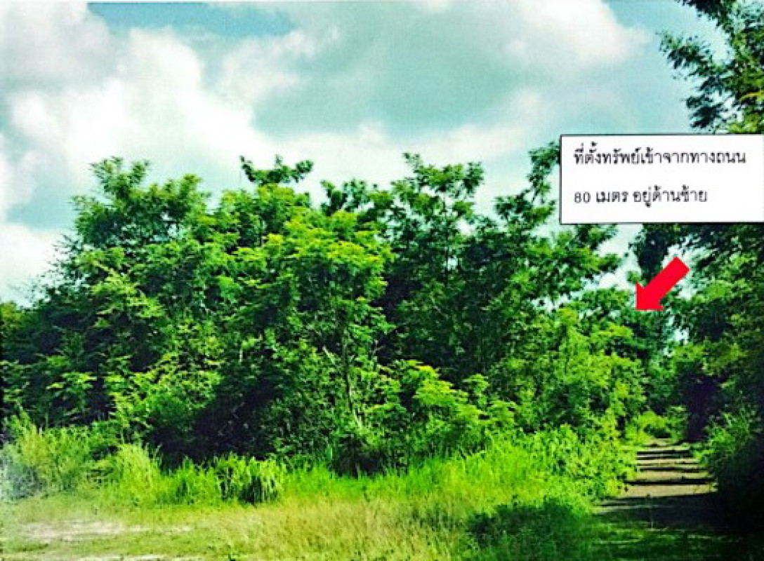 ที่ดินเปล่า อุบลราชธานี เมืองอุบลราชธานี ขามใหญ่ 117000
