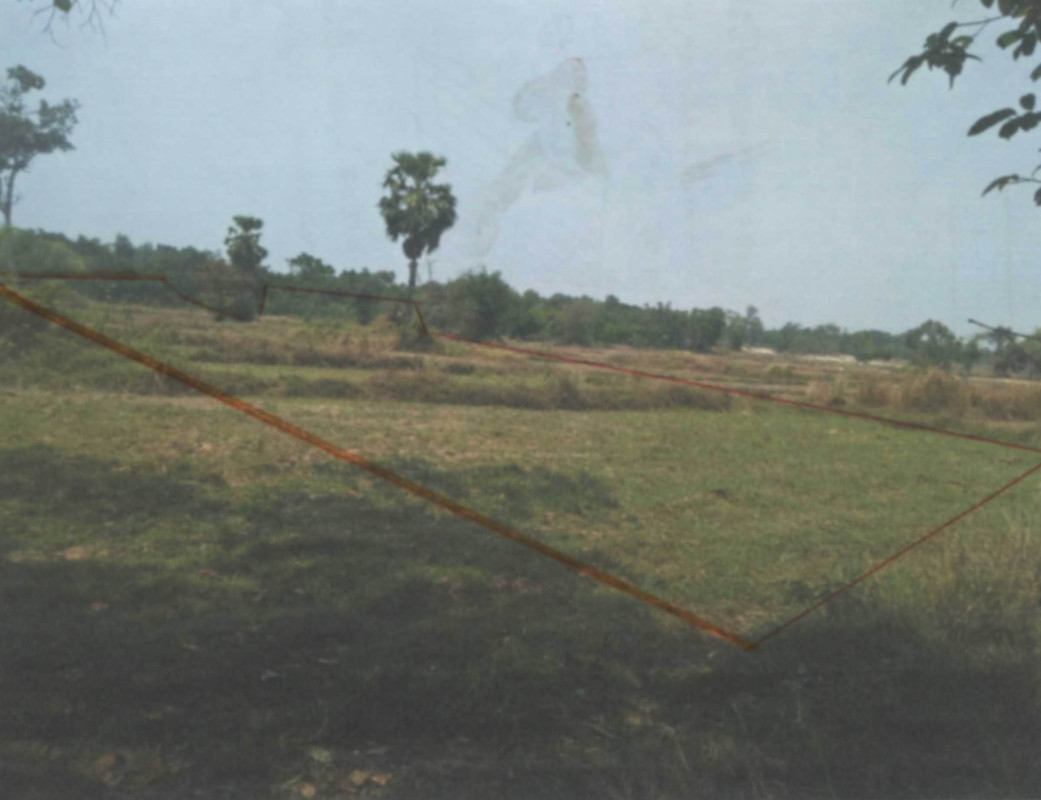 ที่ดินเปล่า นครพนม เมืองนครพนม ดงขวาง 208750