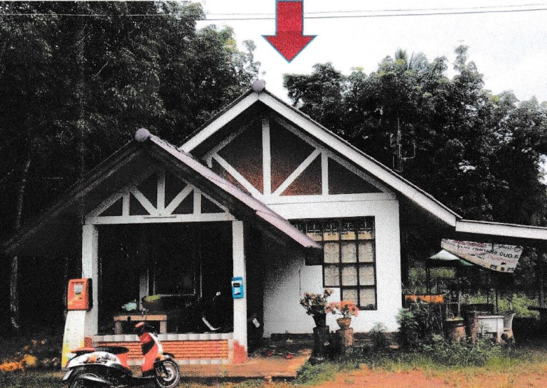 บ้านเดี่ยว ตรัง ปะเหลียน ท่าพญา 442245