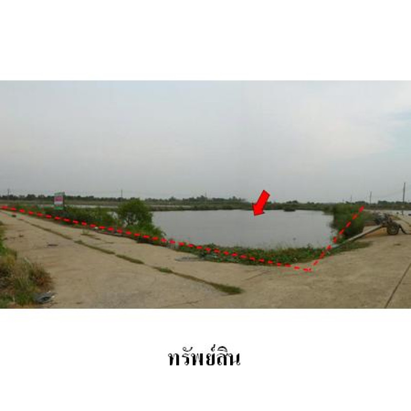 ที่ดินเปล่า สวนเกษตรปิ่นทองแลนด์ นครปฐม บางเลน บัวปากท่า 262800