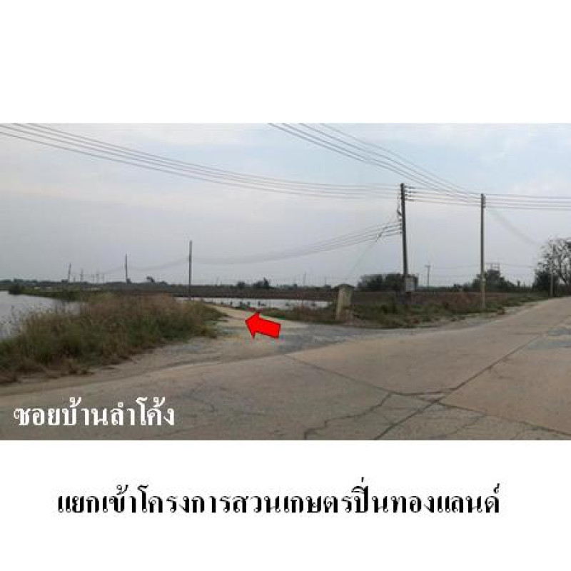 ที่ดินเปล่า สวนเกษตรปิ่นทองแลนด์ นครปฐม บางเลน บัวปากท่า 262800