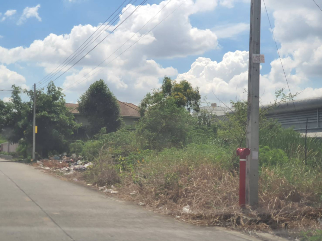 ที่ดินเปล่า ปทุมธานี ลำลูกกา ลาดสวาย 3000000