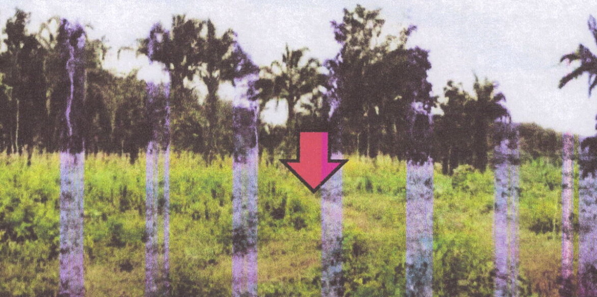 Residential land/lot Krabi Mueang Krabi Khao Khram 633500