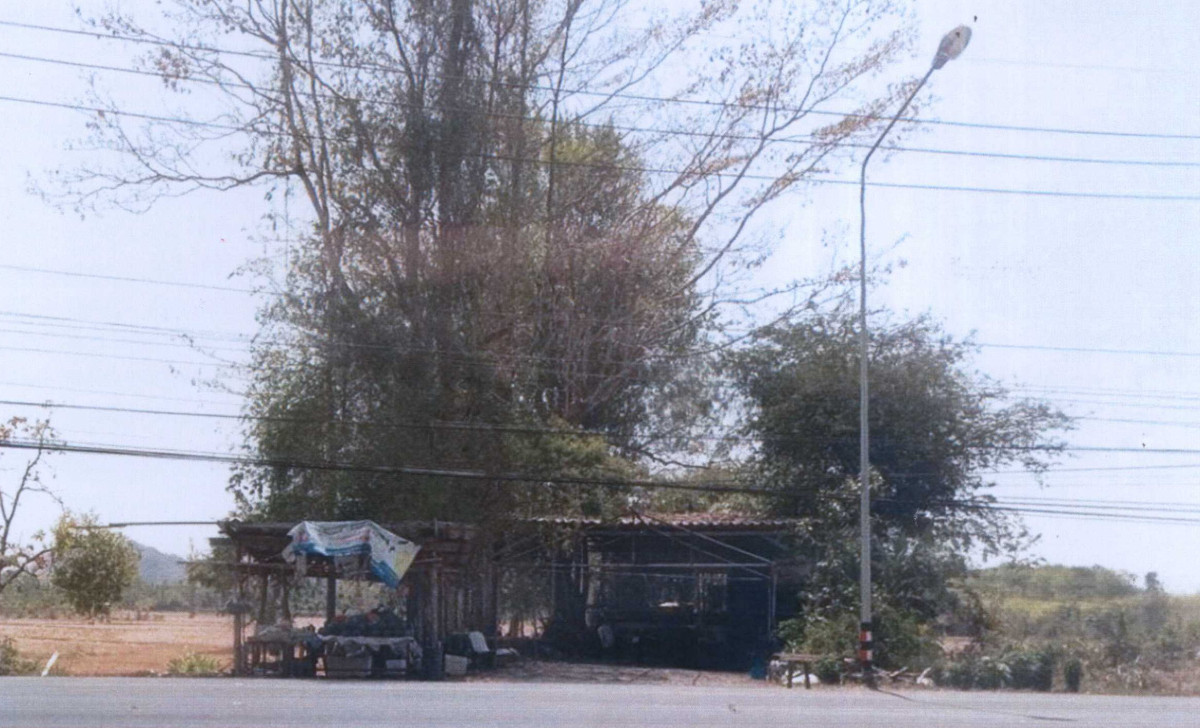 Single house Satun La-ngu Kamphaeng 587830