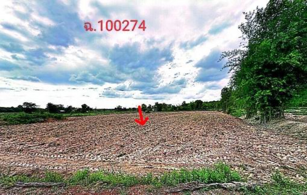 ที่ดินเปล่า สกลนคร สว่างแดนดิน บ้านต้าย 302100