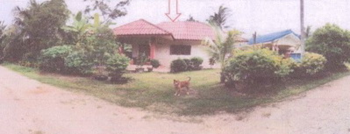 บ้านเดี่ยว ชุมพร เมืองชุมพร วังใหม่ 775800