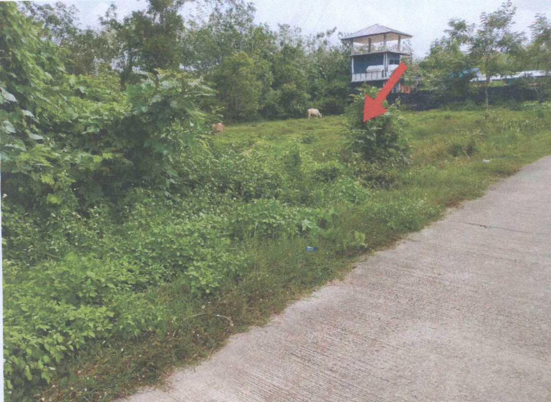 ที่ดินเปล่า สตูล เมืองสตูล เกตรี 557760