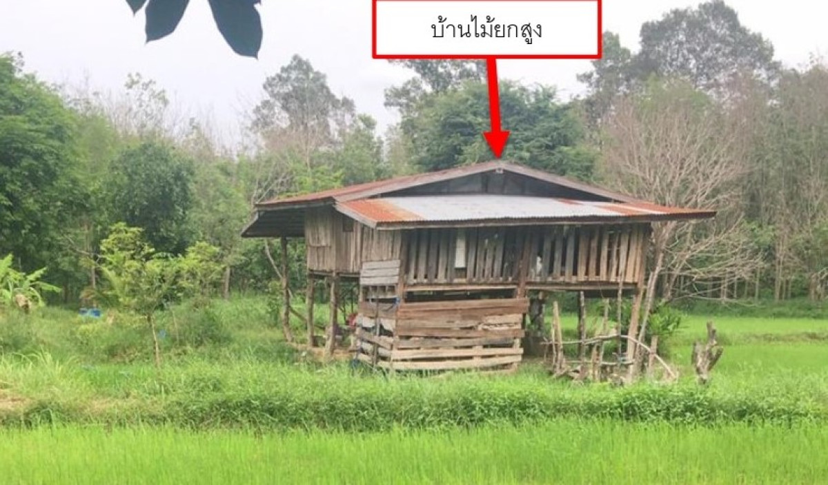 บ้านเดี่ยว อุบลราชธานี กุดข้าวปุ้น ข้าวปุ้น 425824