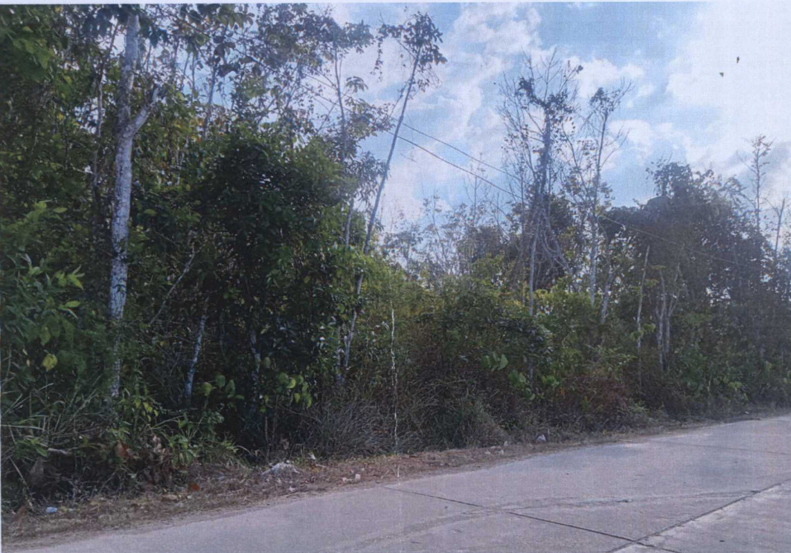 Residential land/lot Satun Mueang Satun Khlong Khut 1082400