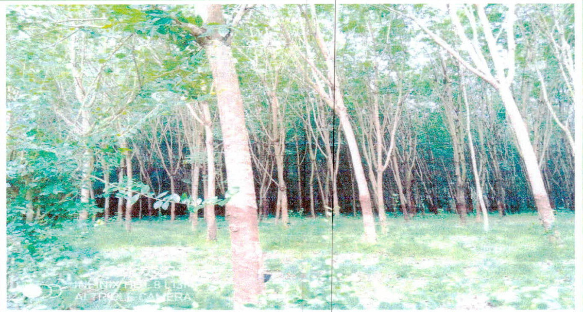 ที่ดินเปล่า อุบลราชธานี เมืองอุบลราชธานี กุดลาด 188800