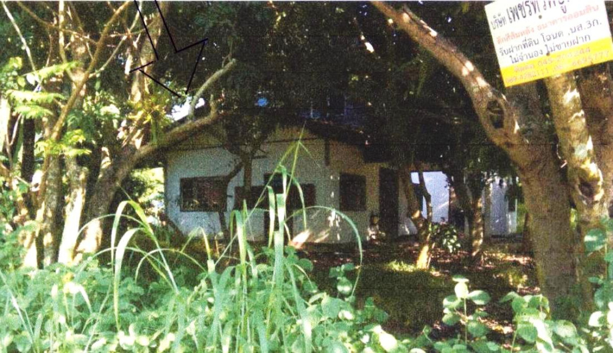 บ้านเดี่ยว อุบลราชธานี พิบูลมังสาหาร โพธิ์ไทร 454400