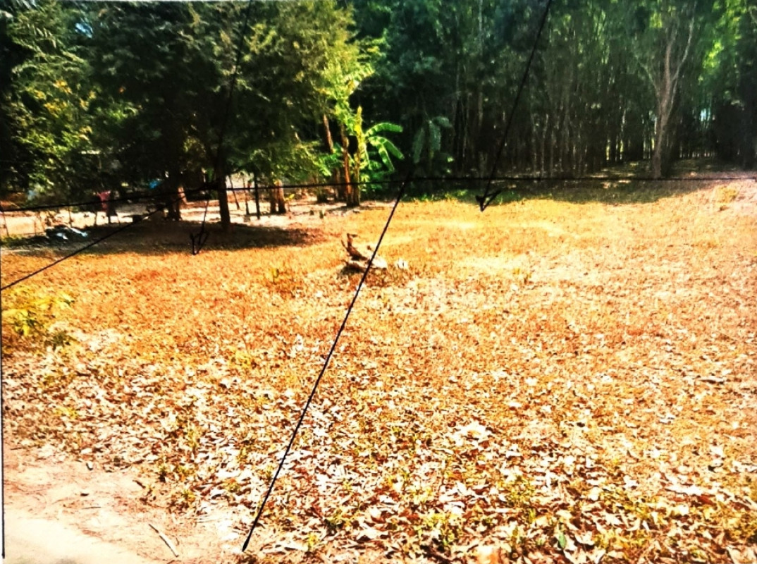 ที่ดินเปล่า สุราษฎร์ธานี บ้านนาเดิม ท่าเรือ 300000