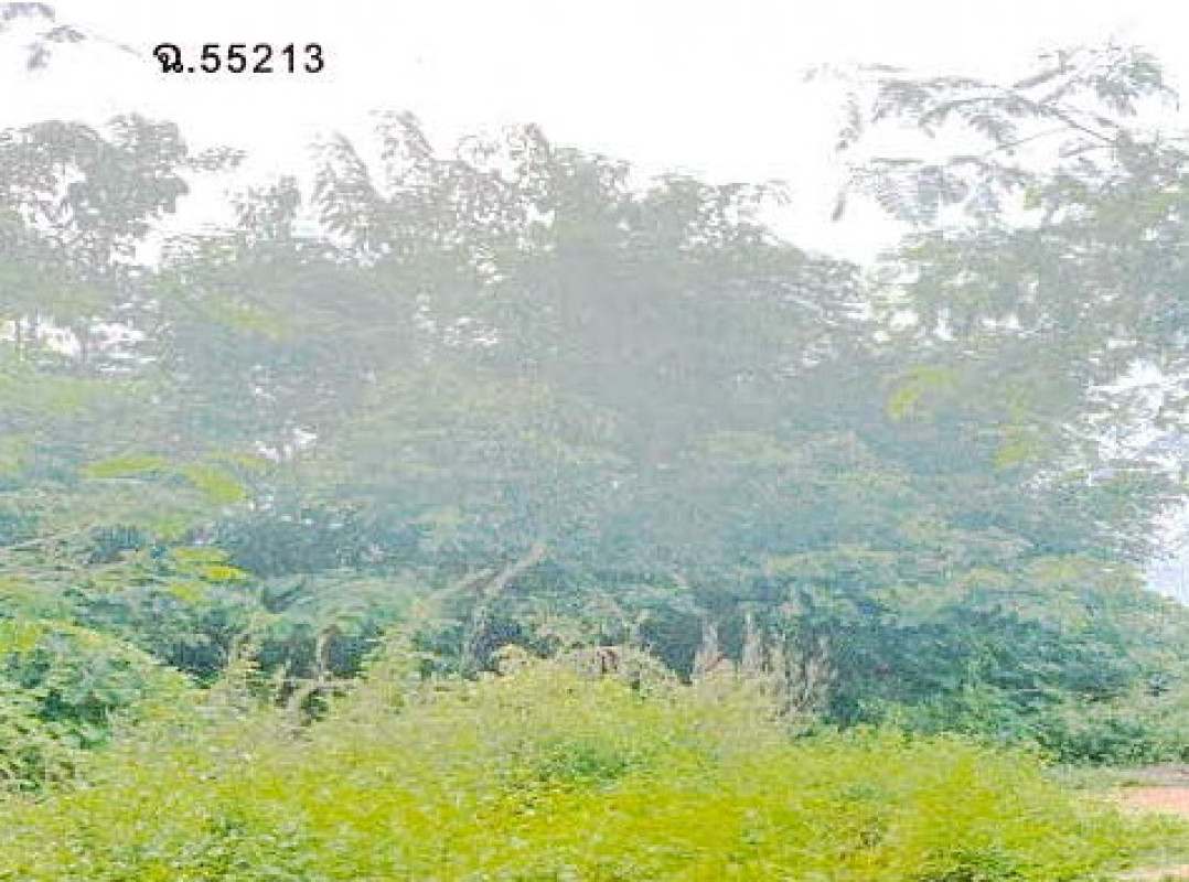 ที่ดินเปล่า ลำปาง เกาะคา ศาลา 592500