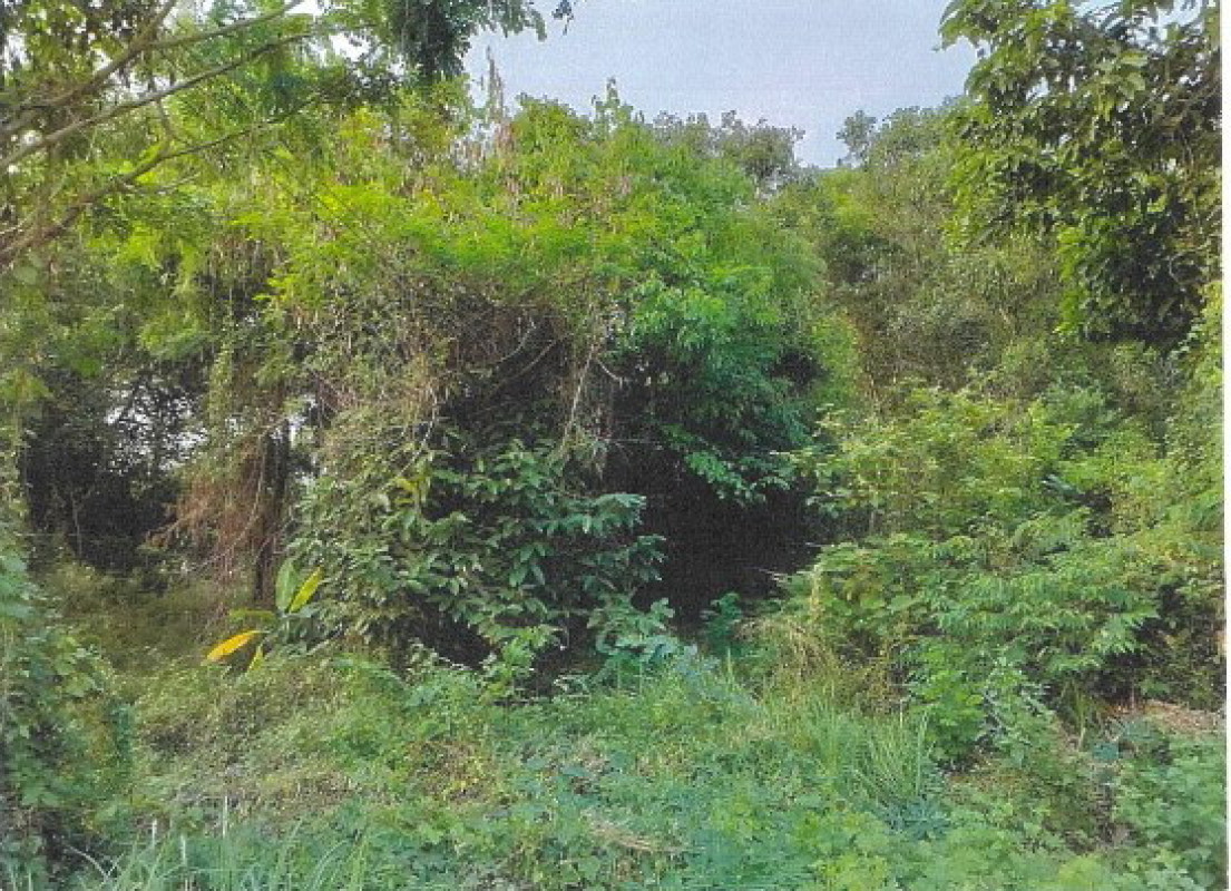 Residential land/lot Nakhon Phanom Sri Songkhram Si Songkhram 436100