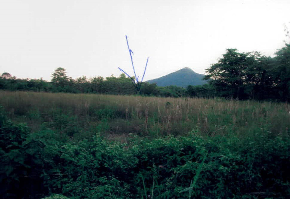 ที่ดินเปล่า เลย เมืองเลย นาอาน 19937245