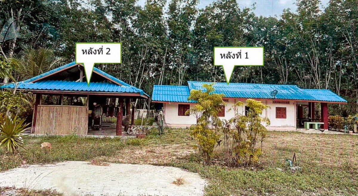 บ้านเดี่ยว สุราษฎร์ธานี คีรีรัฐนิคม ท่าขนอน 3134000