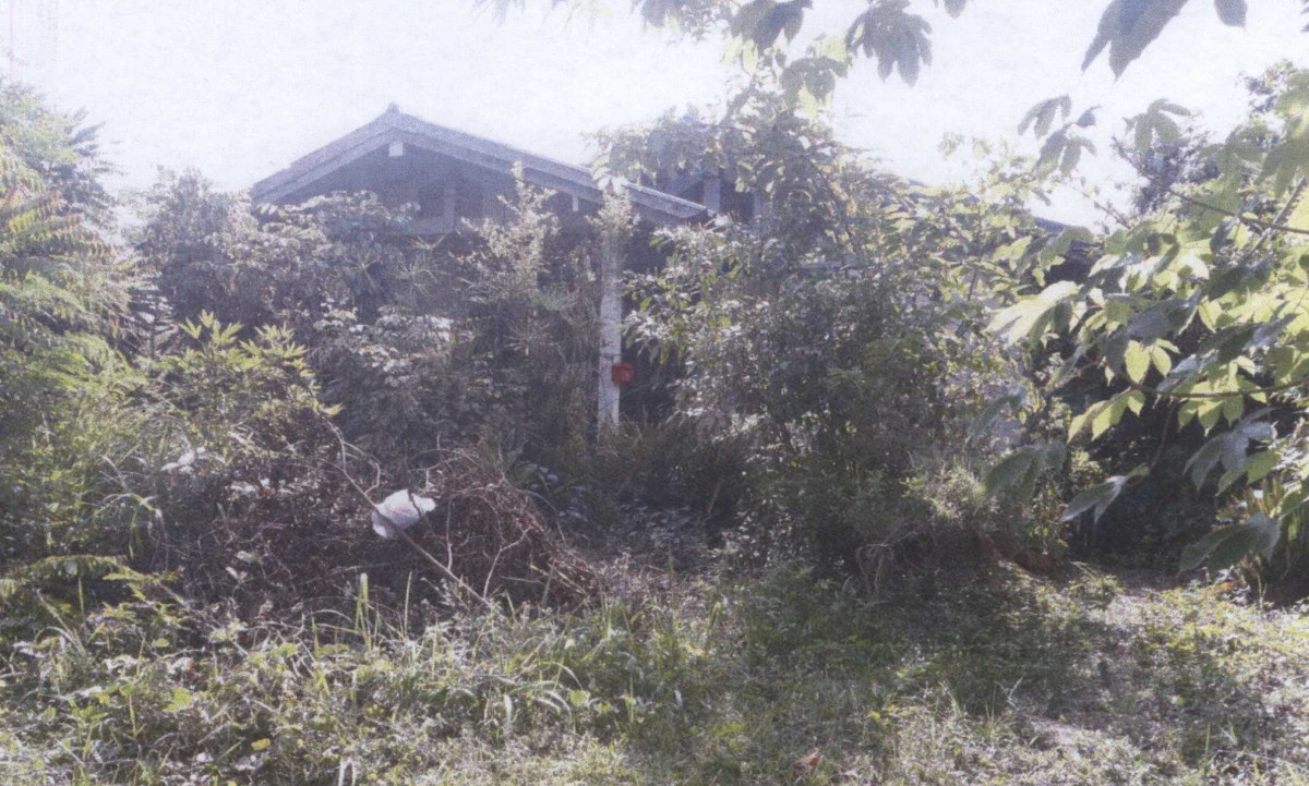 บ้านเดี่ยว อุบลราชธานี กุดข้าวปุ้น โนนสวาง 319638