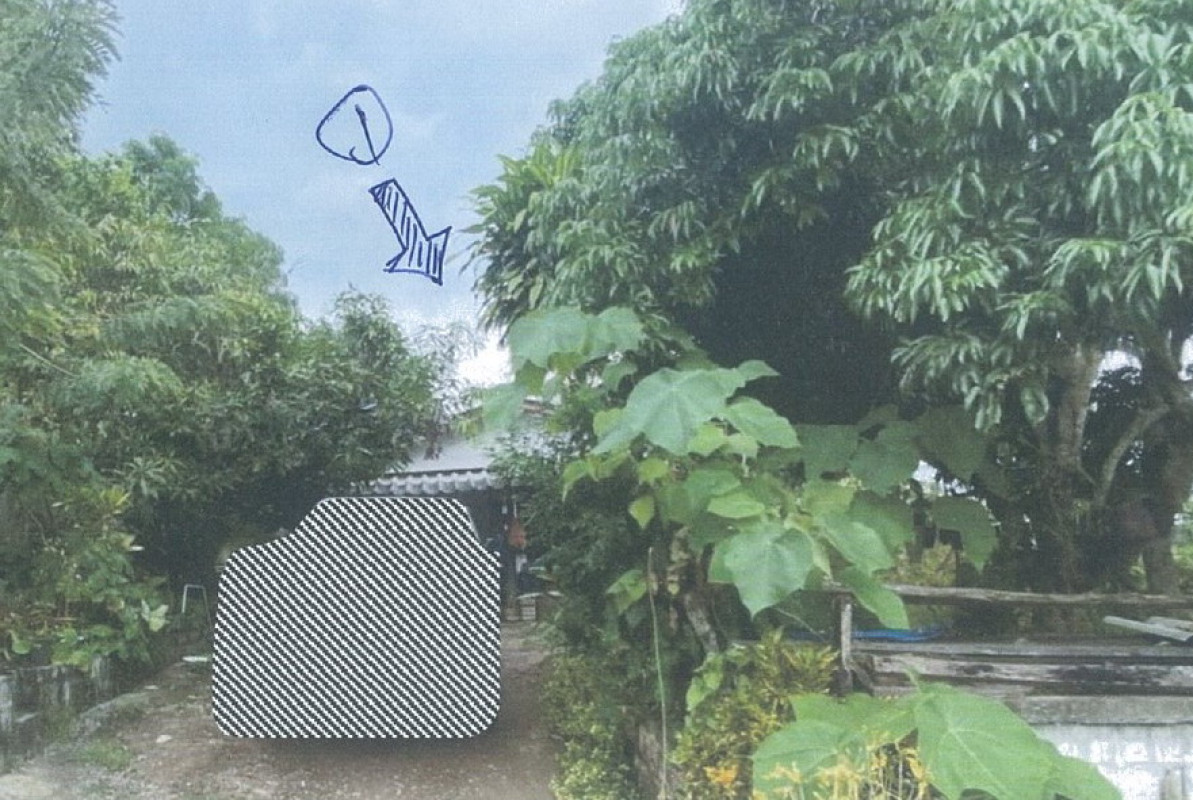 บ้านเดี่ยว เชียงราย เทิง หงาว 352560