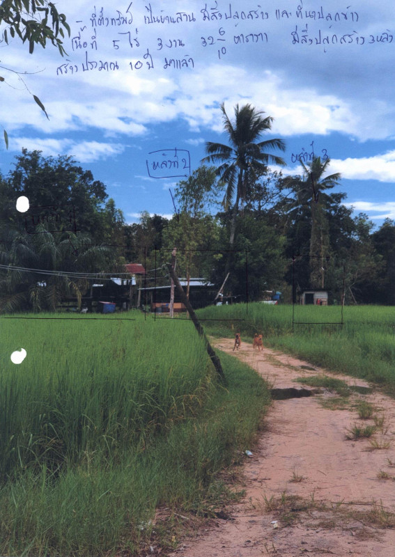Single house Ubon Ratchathani Sawang Wirawong Bung Malaeng 776506