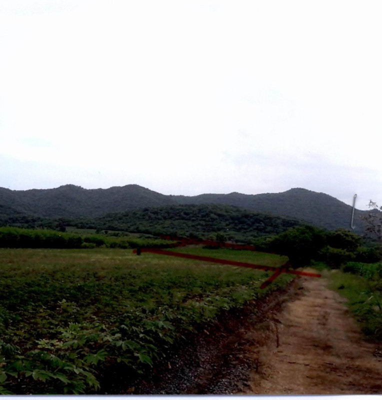 ที่ดินเปล่า ลพบุรี หนองม่วง ดงดินแดง 22700