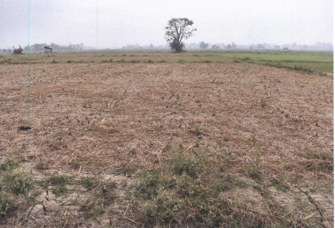 ที่ดินเปล่า แพร่ เมืองแพร่ ทุ่งกวาว 227250