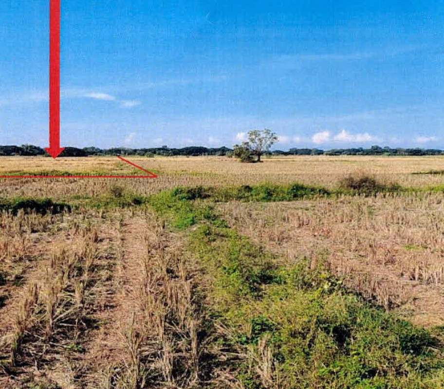 ที่ดินเปล่า ลำปาง เมืองลำปาง บ่อแฮ้ว 183000