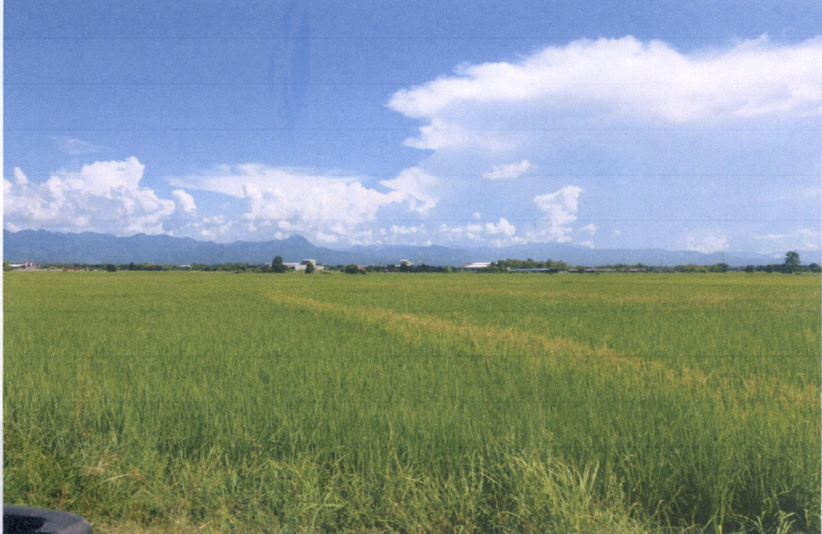 Residential land/lot Phrae Mueang Phrae Mae Yom 391000