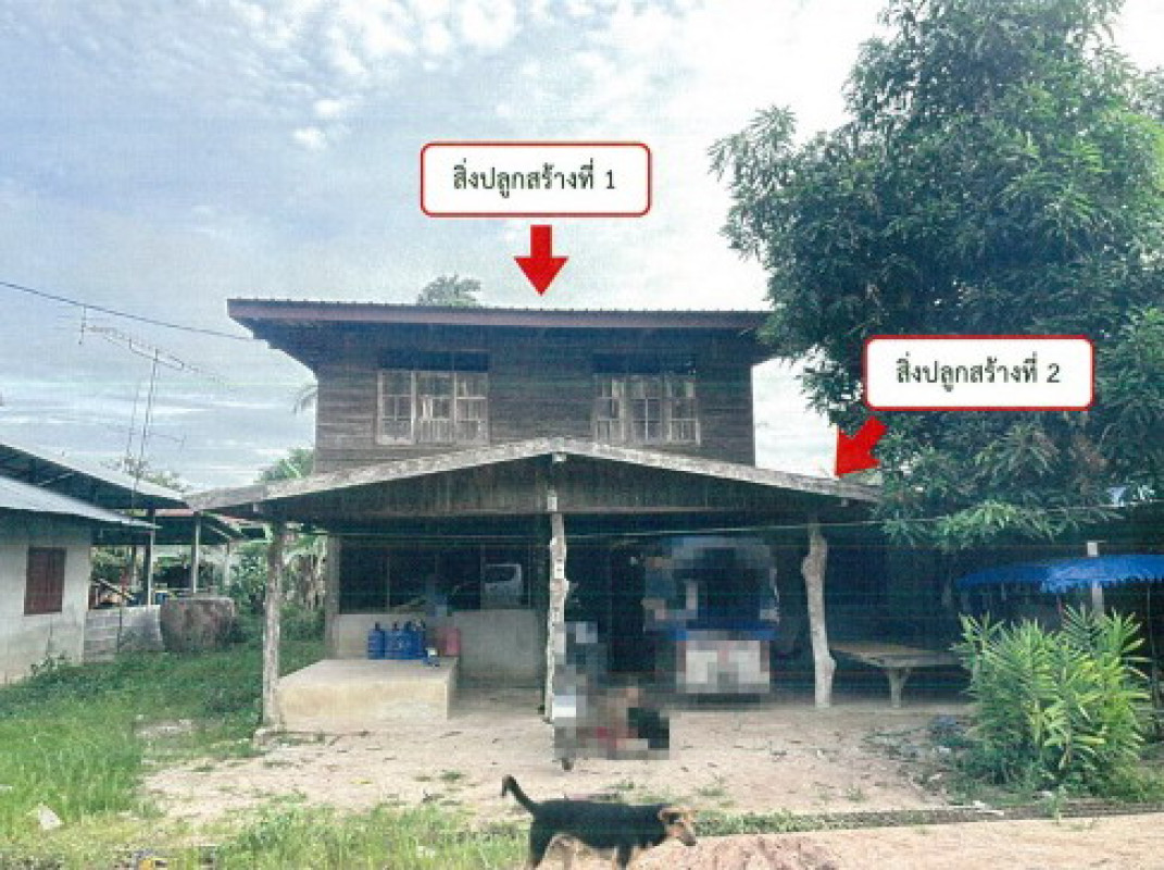 Single house Kalasin Na Mon Na Mon 513000