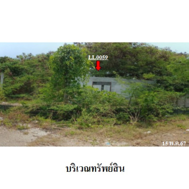 ที่ดินเปล่า ระยอง เมืองระยอง ปากน้ำ 3370000