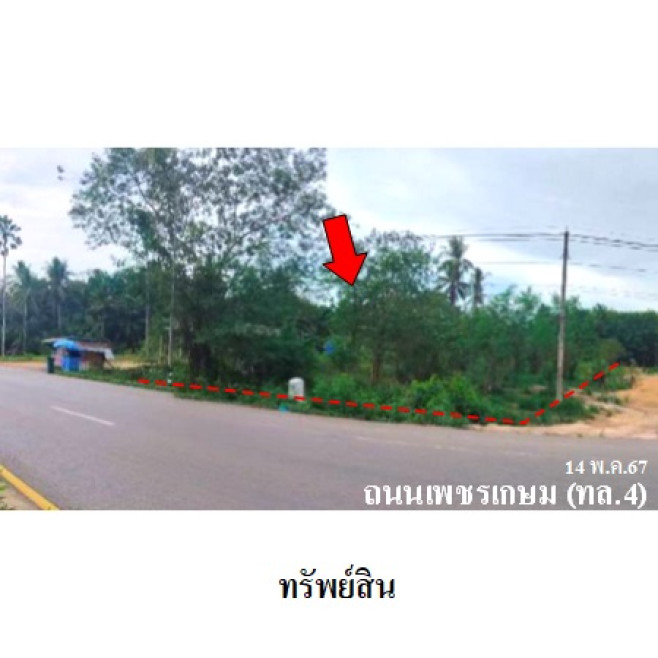ที่ดินเปล่า ชุมพร เมืองชุมพร วังใหม่ 1790000