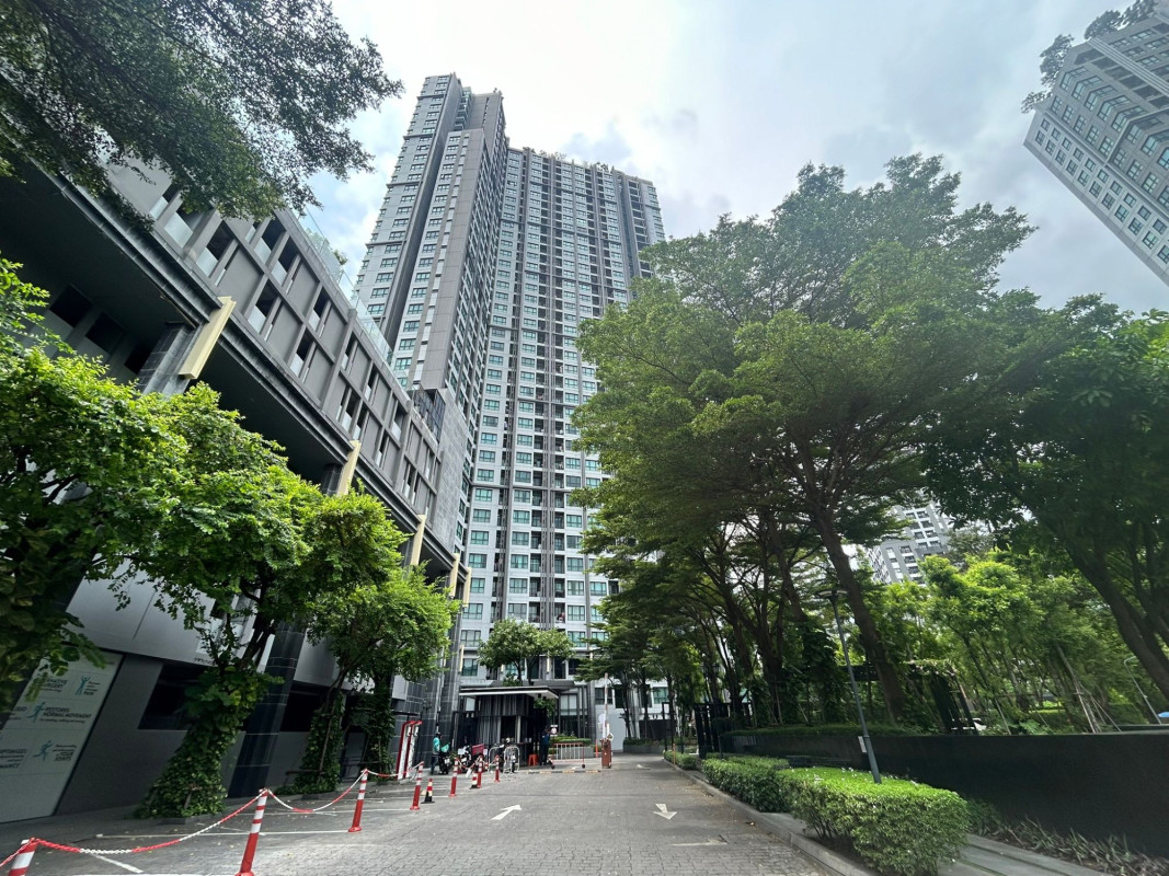 Condominium Bangkok Watthana Phra Khanong Nuea 3115365