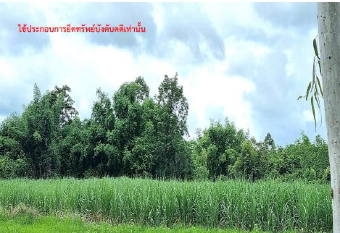 ที่ดินเปล่า กาฬสินธุ์ ห้วยผึ้ง หนองอีบุตร 800000