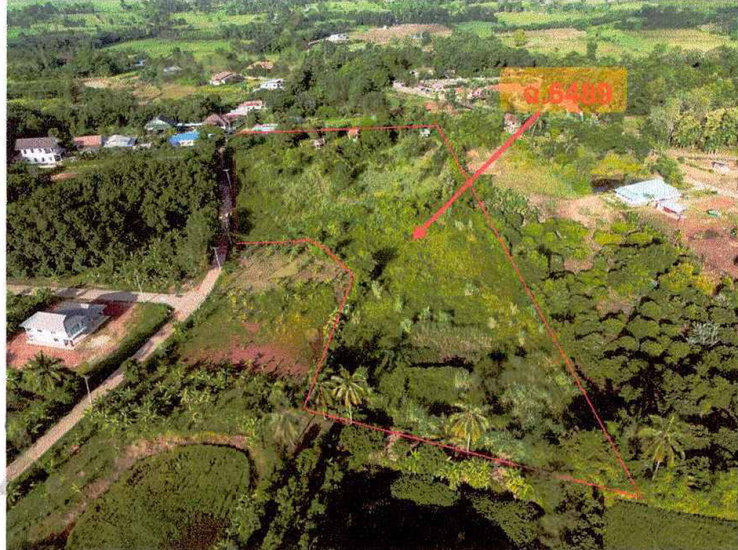 ที่ดินเปล่า หนองคาย สังคม สังคม 1564650