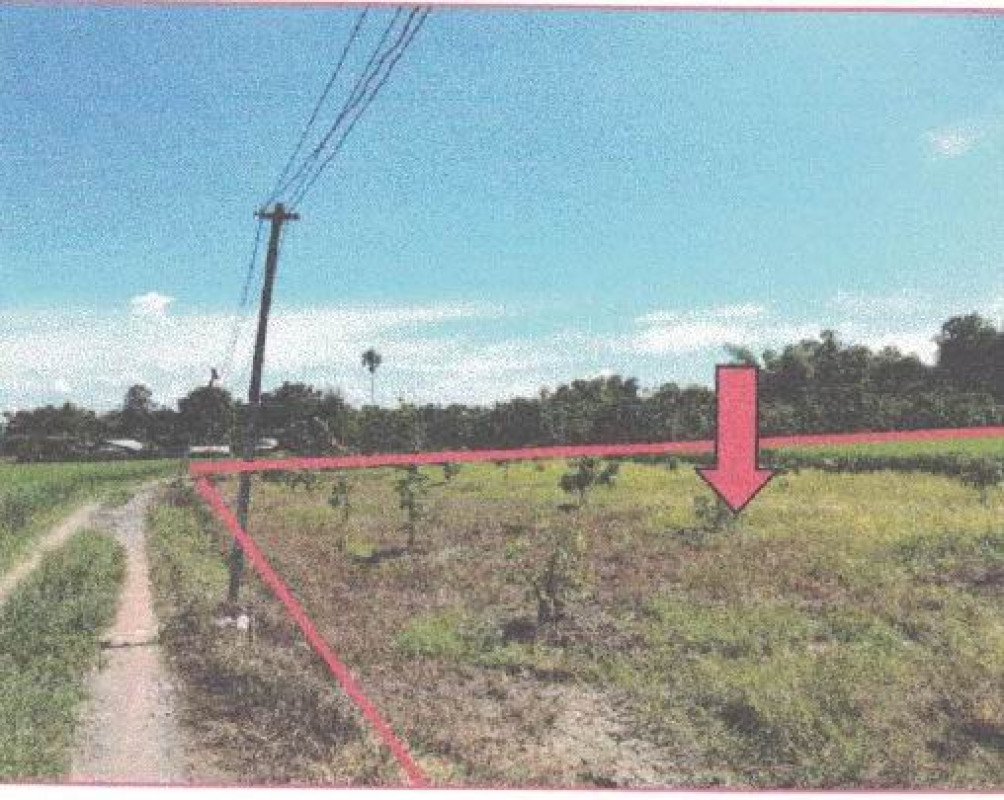 ที่ดินเปล่า เชียงใหม่ สันป่าตอง บ้านแม 780500