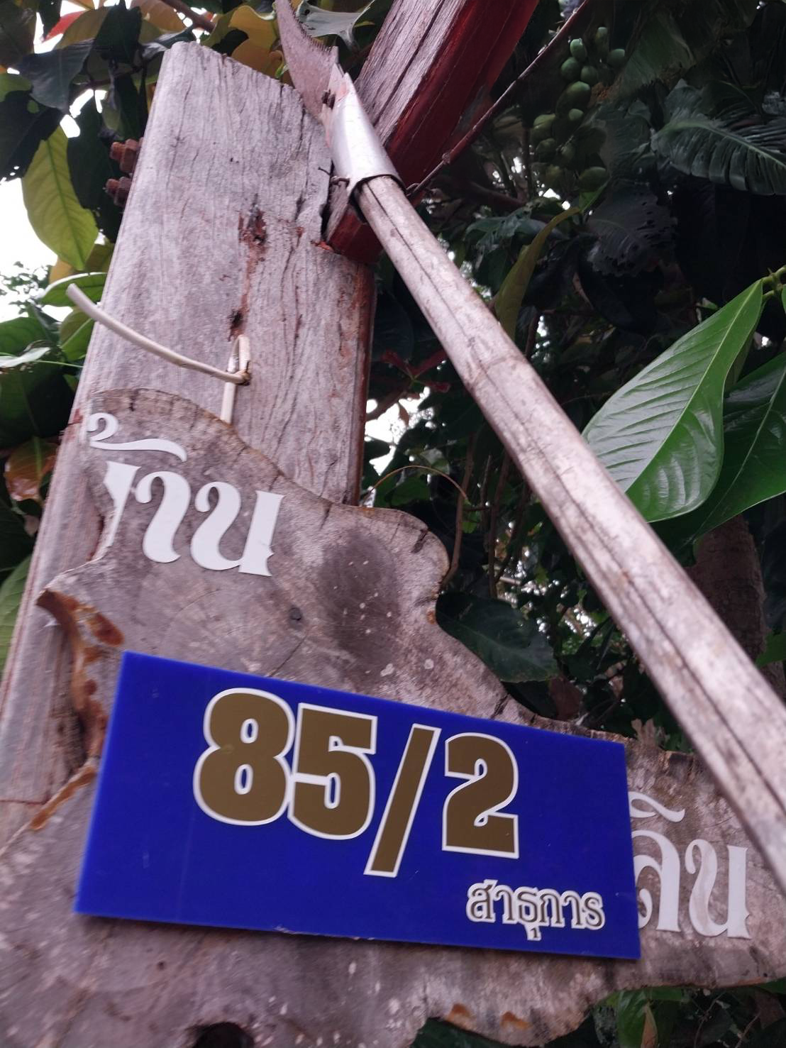 บ้านเดี่ยว พิษณุโลก เมืองพิษณุโลก ท่าโพธิ์ 7450000