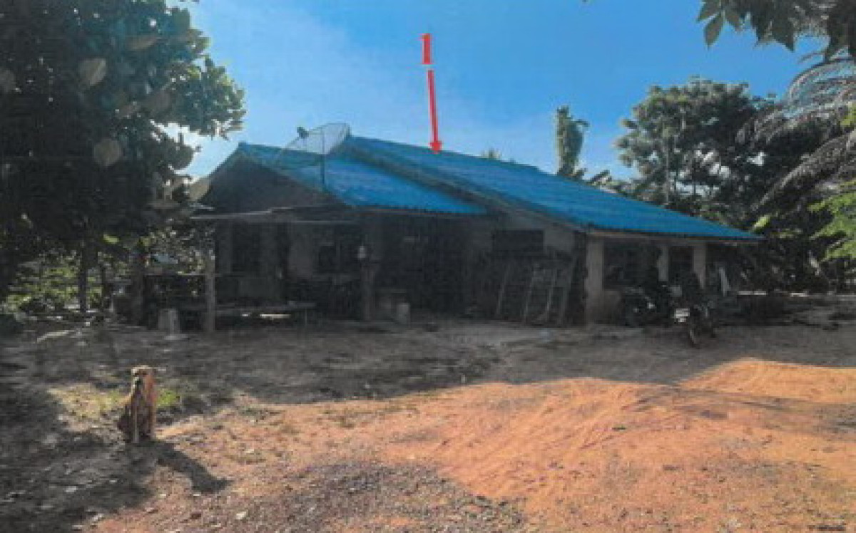 Single house Kalasin Kuchinarai Lao Hai Ngam 597840